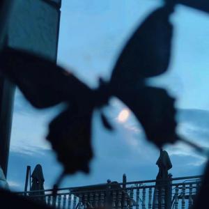 张子枫疯狂做爰高潮
